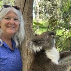  Powell Koala, Cleland Wildlife Park, SA.11